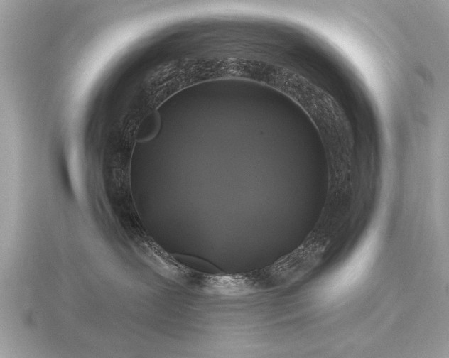 X0000116590239200912101546