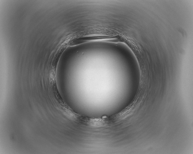 X0000116590240200912101546