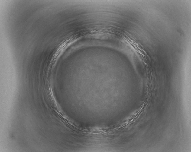 X0000116590241200912101545