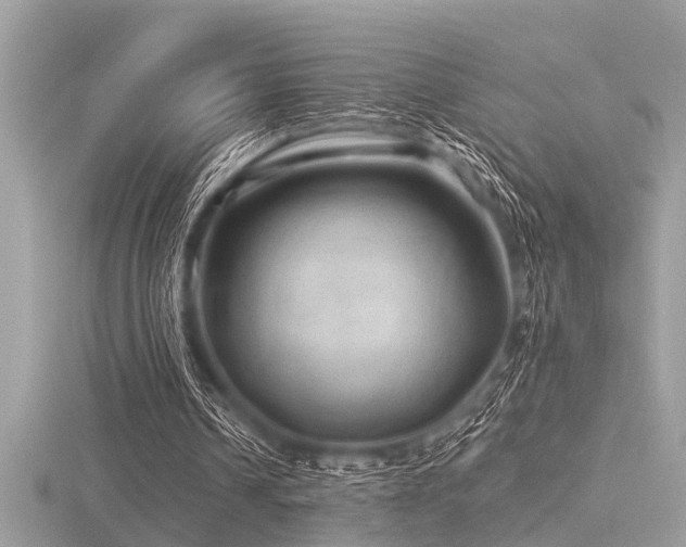 X0000116590242200912101545