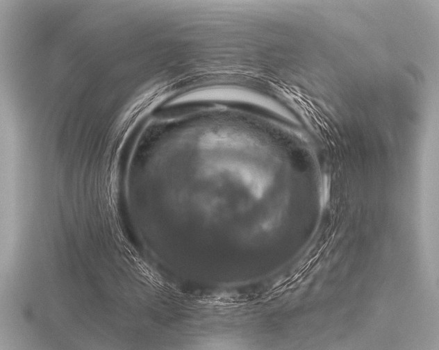 X0000116590243200912101545