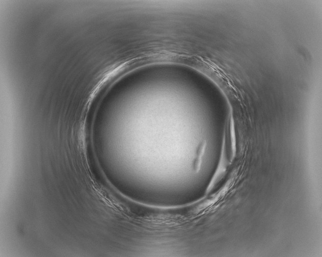 X0000116590244200912101545