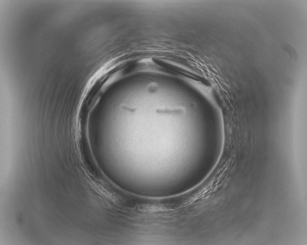 X0000116590246200912101545