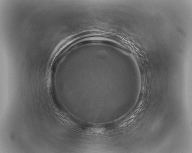 X0000116590247200912101545