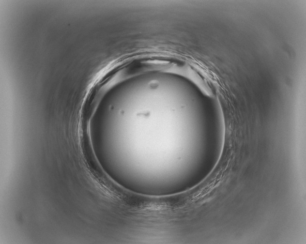 X0000116590248200912101545