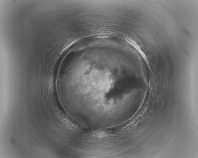 X0000116590249200912101545