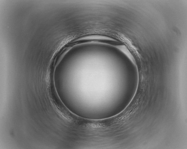 X0000116590250200912101545