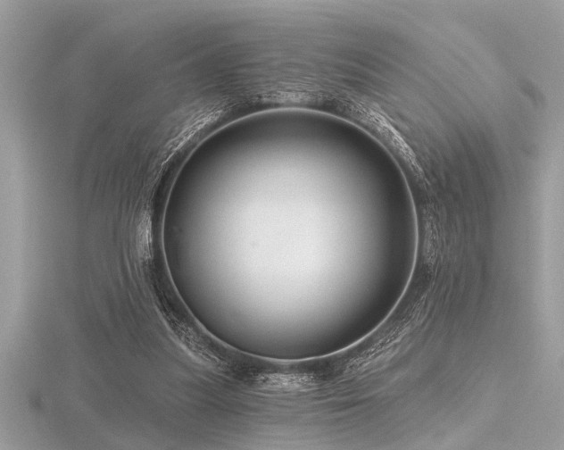 X0000116590251200912101545