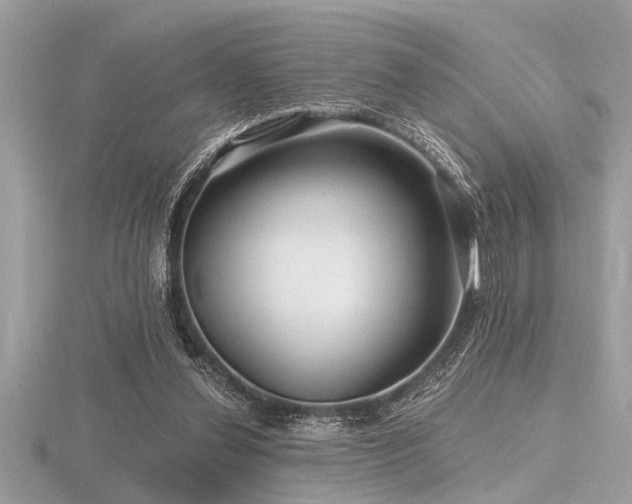 X0000116590252200912101545