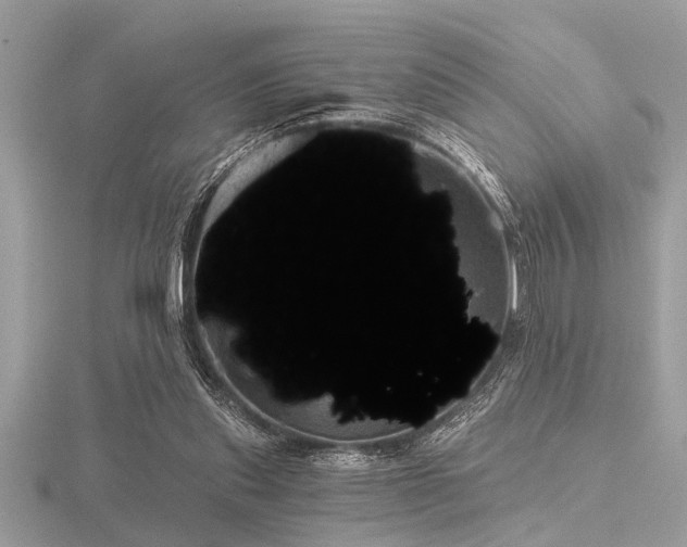 X0000116590253200912101545