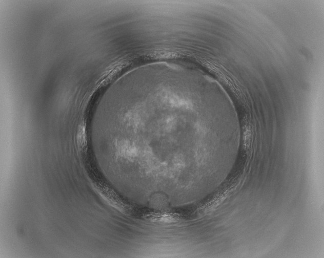 X0000116590254200912101545