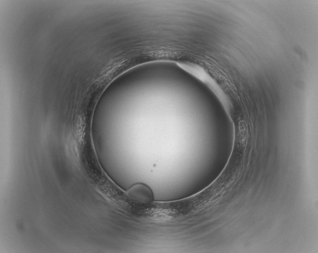 X0000116590255200912101545