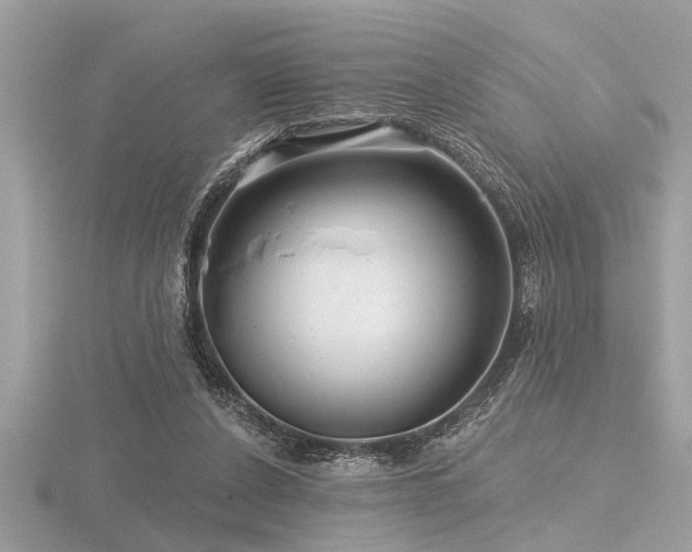 X0000116590256200912101545