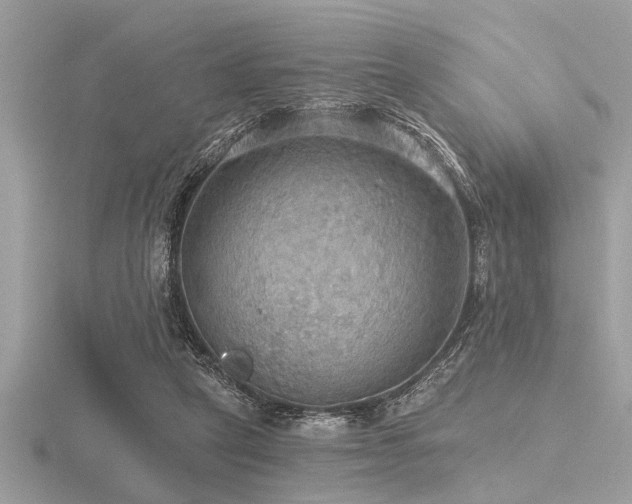 X0000116590257200912101545