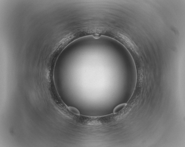 X0000116590258200912101545