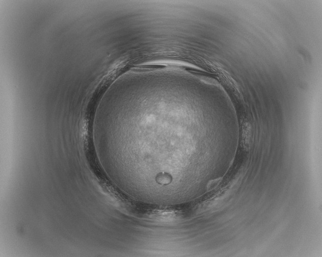 X0000116590260200912101545