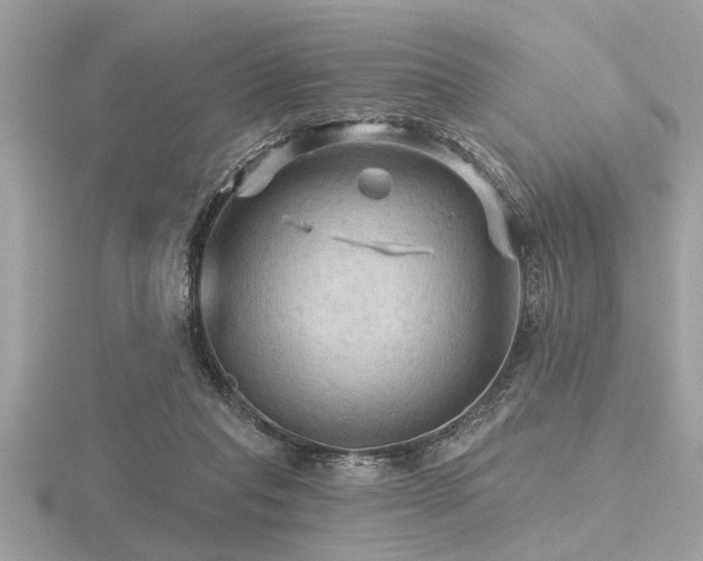 X0000116590261200912101545