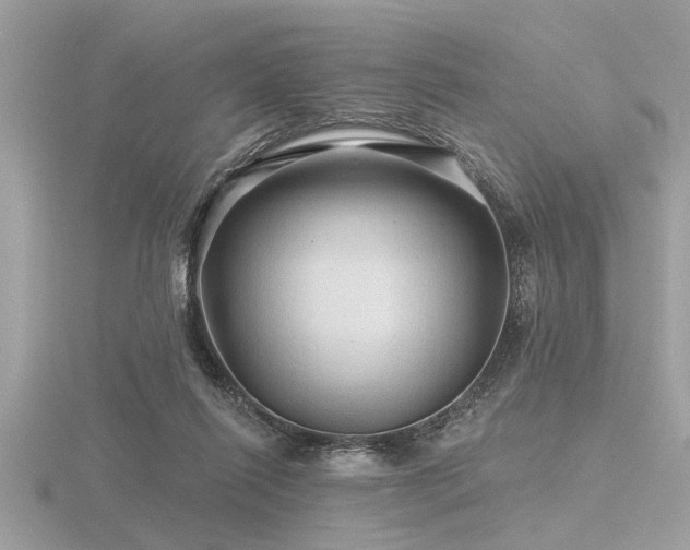 X0000116590262200912101545