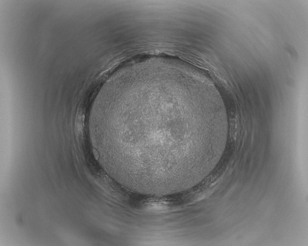 X0000116590263200912101545