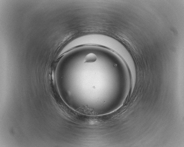 X0000116590264200912101545