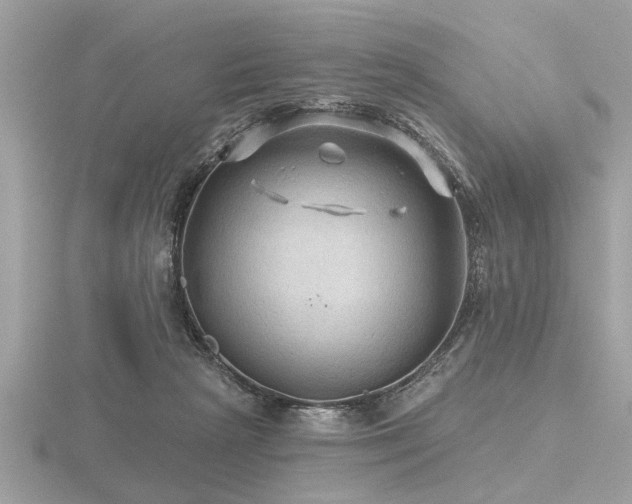 X0000116590265200912101545