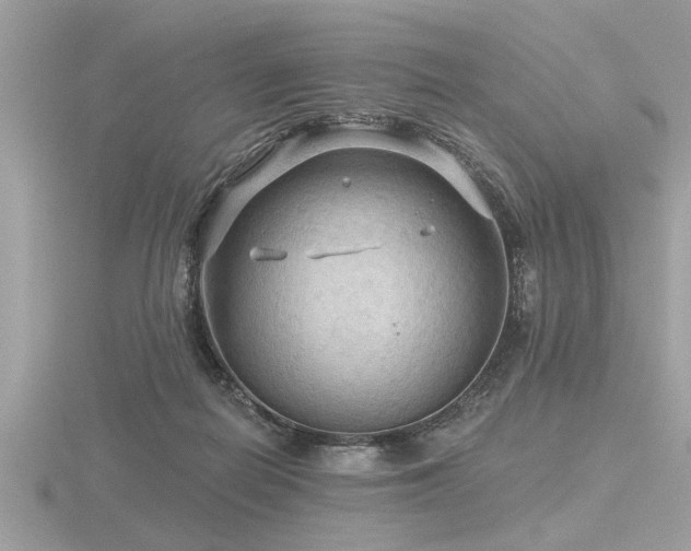 X0000116590266200912101545