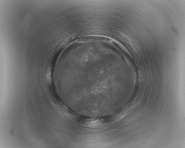 X0000116590267200912101545