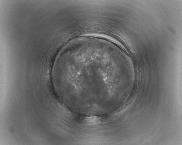 X0000116590269200912101545