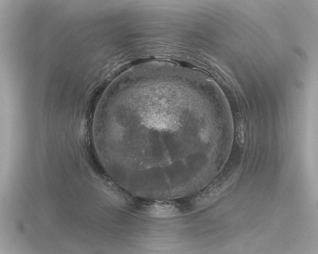 X0000116590270200912101546