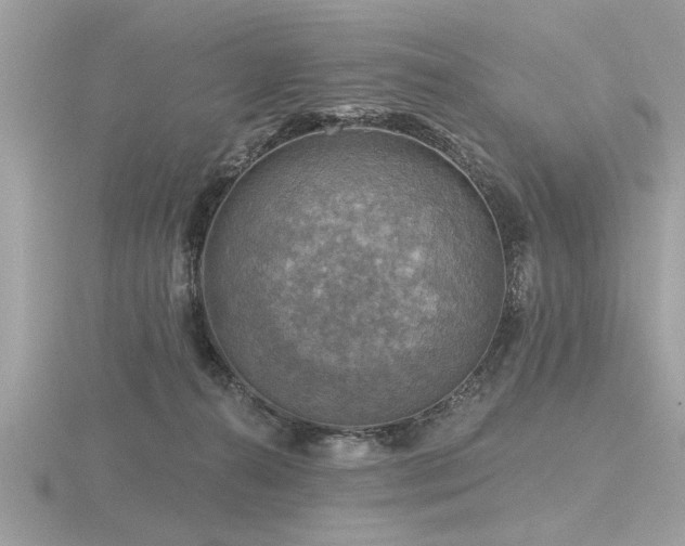 X0000116590272200912101546