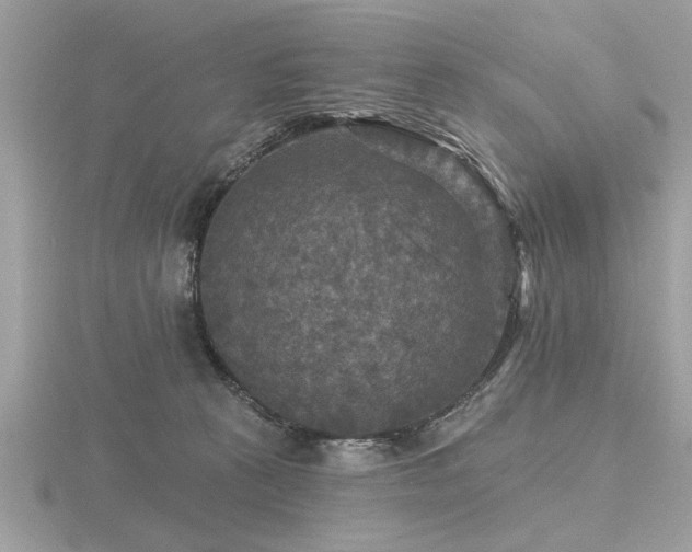 X0000116590273200912101546