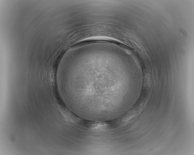 X0000116590274200912101546