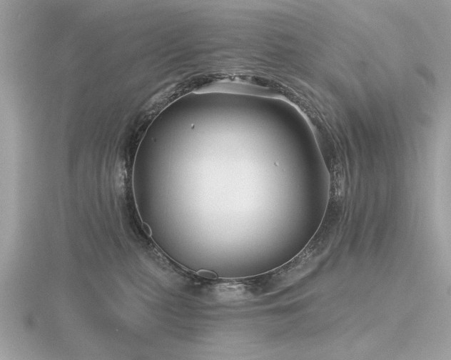 X0000116590279200912101546