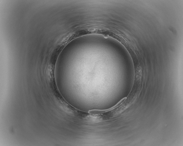 X0000116590280200912101546