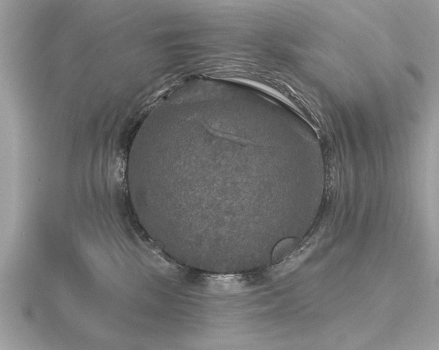 X0000116590281200912101546