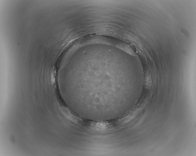 X0000116590282200912101546