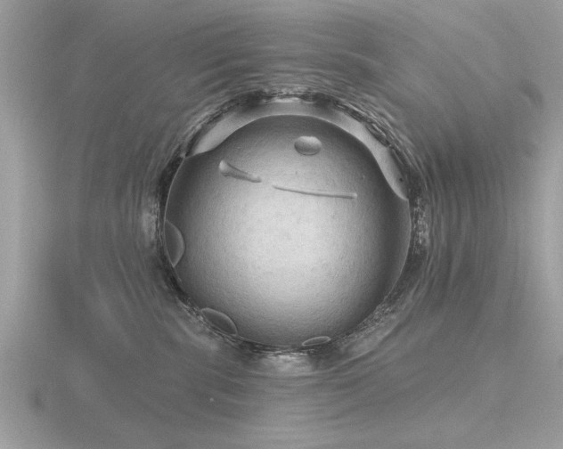 X0000116590283200912101546