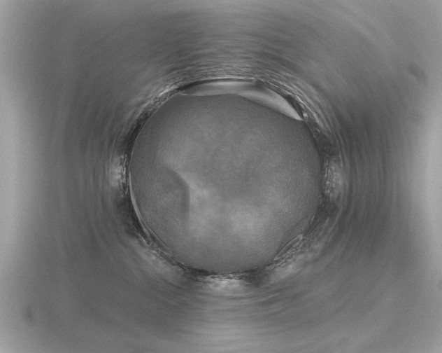 X0000116590284200912101546