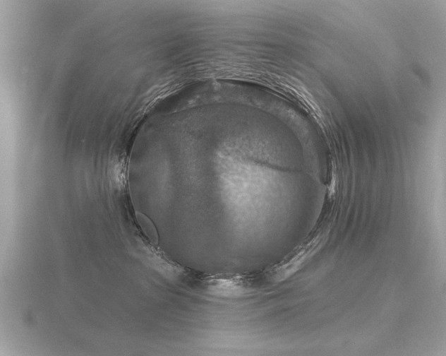 X0000116590285200912101546