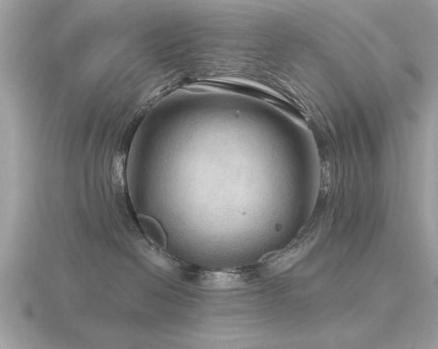 X0000116590286200912101546