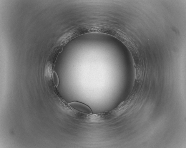 X0000116590287200912101546