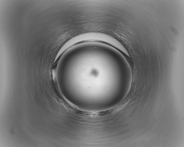 X0000116590288200912101546