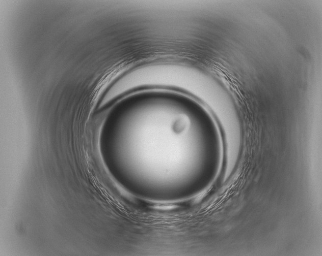 X0000116590289200912101545