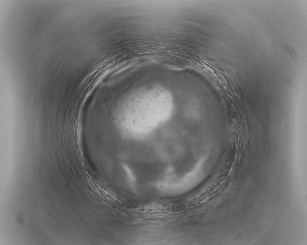 X0000116590290200912101545