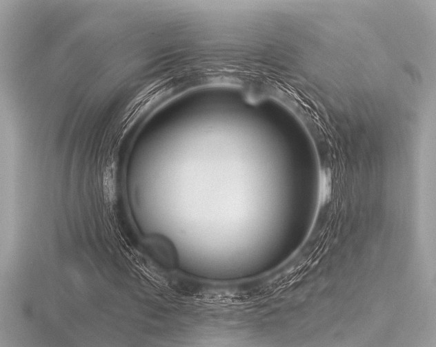 X0000116590291200912101545