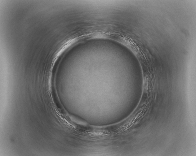 X0000116590292200912101545