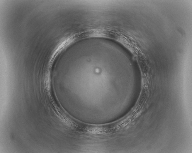 X0000116590293200912101545