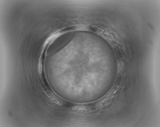 X0000116590294200912101545