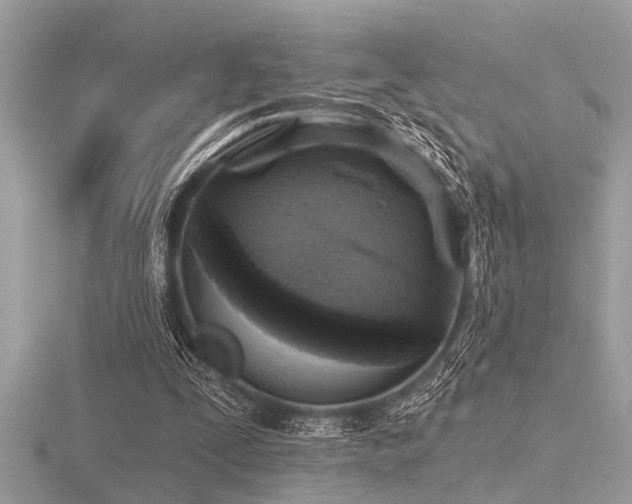 X0000116590295200912101545