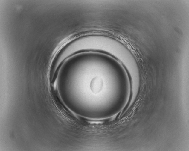 X0000116590296200912101545